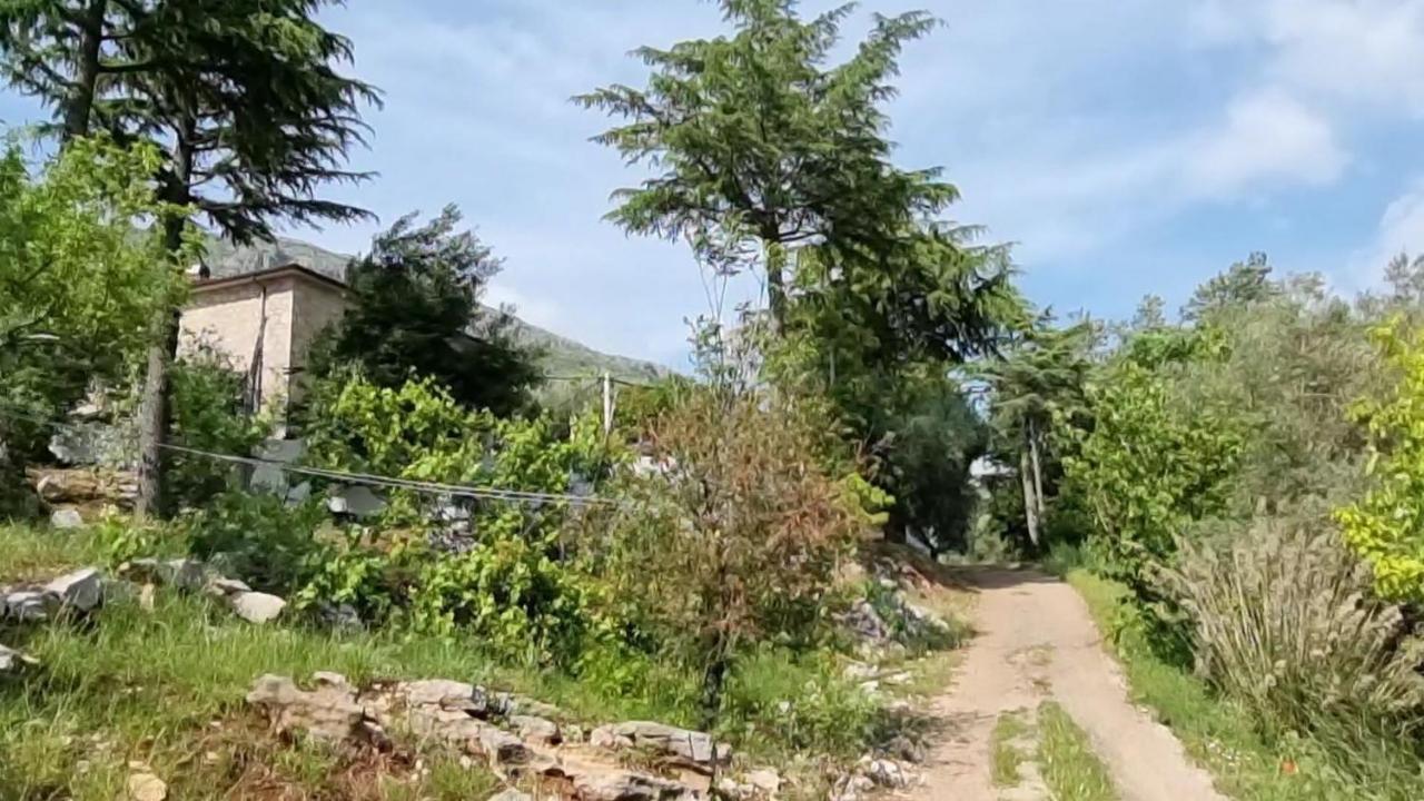 villa del maestro Lenola Esterno foto